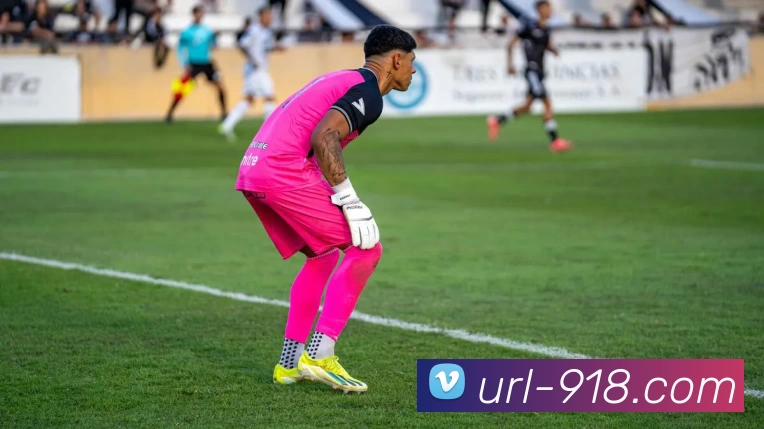 博天堂平台生态图