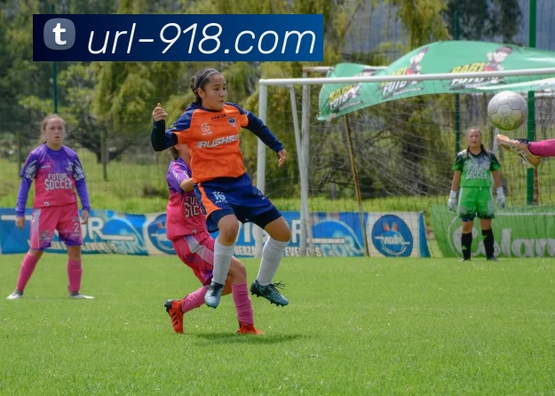 数据防护可视化